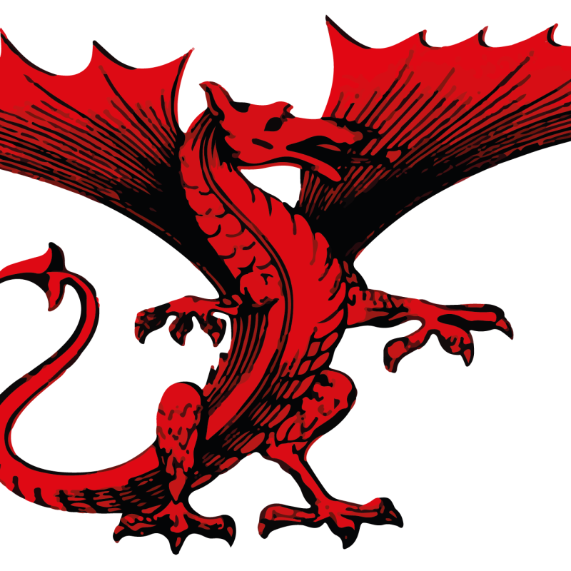 Felinfoel Dragon Car Sticker